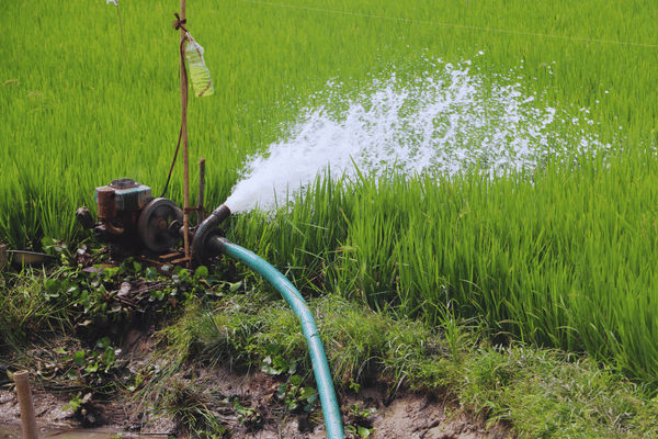 Agricultural irrigation district (rice + cotton)