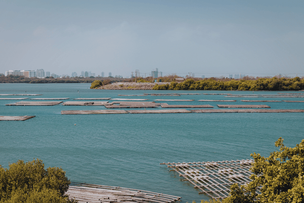Aquaculture & Pond Management