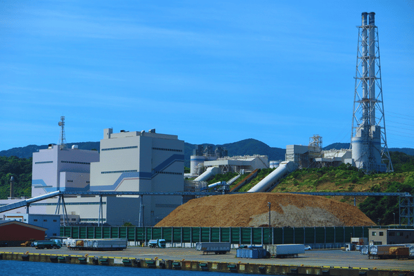 Coastal Power Plant Condenser Cooling