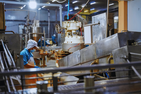 Food Processing Plant Interior