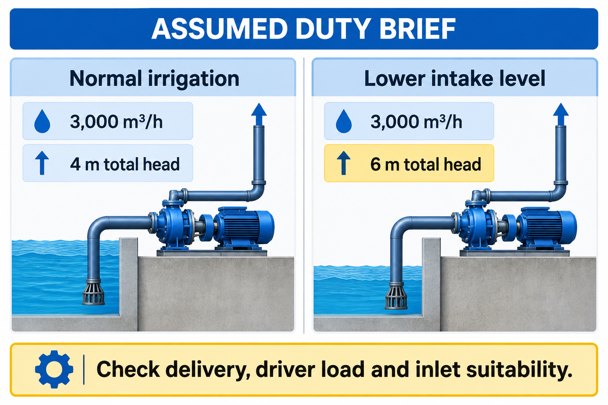 Assumed duty requires 3,000 m³/h at both 4 m and 6 m total head; separate maxima cannot prove coverage.